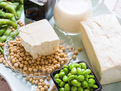 soy products Industry
