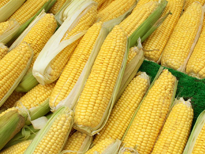 Corn productsIndustry